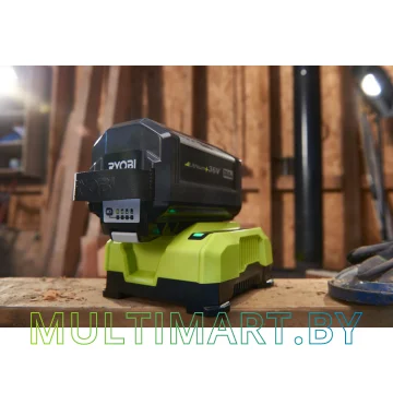 Зарядное устройство Ryobi RY36C60A картинка 7